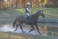 Ella Grier on Jean Louis Finch, Advanced Green Horse Trials Junior B
