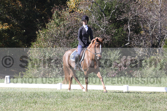 Alexis Hobbs on PJ, Beginner Novice Horse Trials Junior B