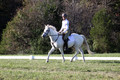 Jeanne Jeffer on Snowball's Chance, Green Horse Trials