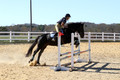 Leah Childers on Priscilla, Beginner Novice Horse Trials Junior B