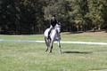 Michele Gnozzio on Dazzling, Beginner Novice Horse Trials Senior C