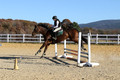 Ella Grier on Jean Louis Finch, Advanced Green Horse Trials Junior B