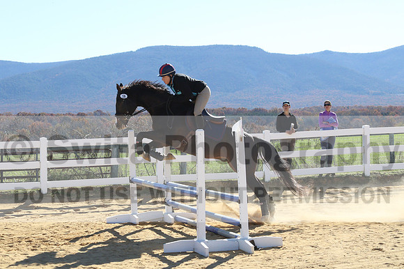 Mimi Combs on Aristocrat, Beginner Novice Horse Trials Senior A
