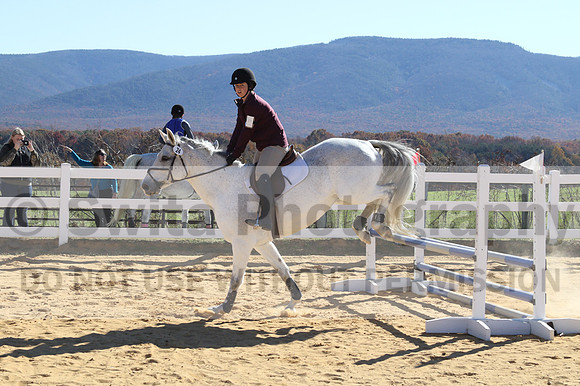 Shannon Bower on Bastille, Beginner Novice Combined Test