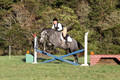 Elizabeth Brown on BallyGrace Encore, Green Horse Trials