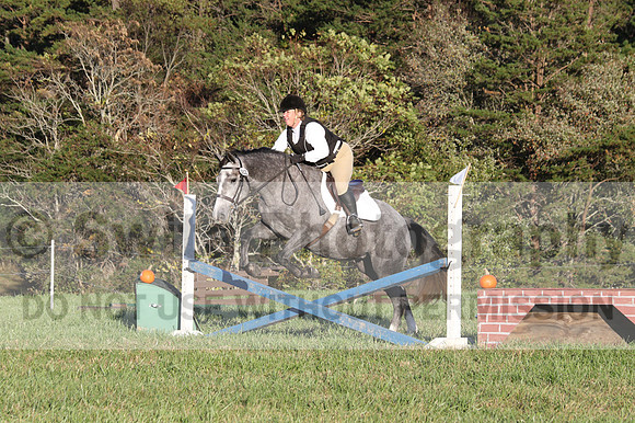 Elizabeth Brown on BallyGrace Encore, Green Horse Trials