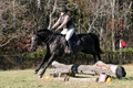 Amy Kryder on Rhianna, Beginner Novice Horse Trials Senior C