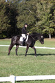 Melissa Kenny on F.O. Calculated Risk, Novice Horse Trials Senior B