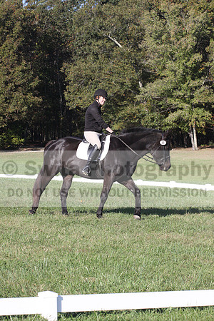 Melissa Kenny on F.O. Calculated Risk, Novice Horse Trials Senior B