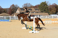 Abby Loving on Royal Filigree, Advanced Green Horse Trials Senior A