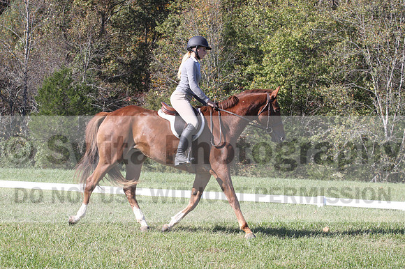 Haley Morrissey on Picturesque Serenade, Advanced Green Horse Trials A