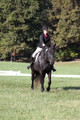 Melissa Kenny on F.O. Calculated Risk, Novice Horse Trials Senior B