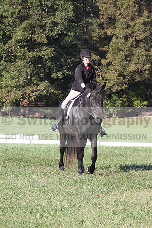 Melissa Kenny on F.O. Calculated Risk, Novice Horse Trials Senior B