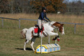Corrine Woods on Chief's Star Dreammaker, Beginner Novice Horse Trials Senior B