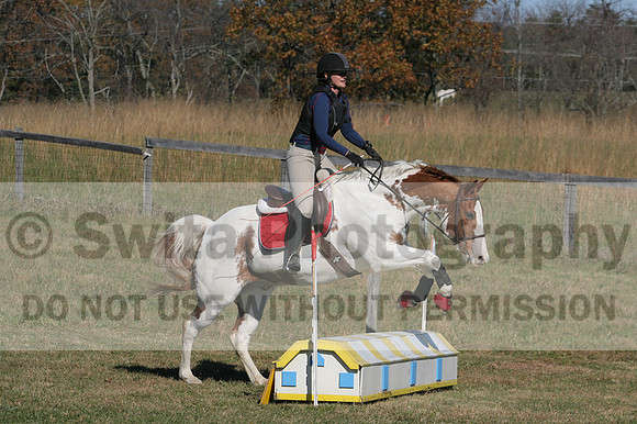 Corrine Woods on Chief's Star Dreammaker, Beginner Novice Horse Trials Senior B