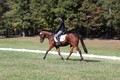 Katie LaValle on High Speed Internet, Beginner Novice Horse Trials Senior A