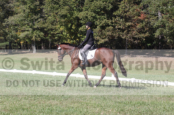 Katie LaValle on High Speed Internet, Beginner Novice Horse Trials Senior A