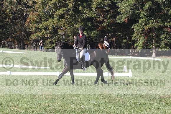 Melissa Kenny on F.O. Calculated Risk, Novice Horse Trials Senior B