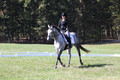 Michele Gnozzio on Dazzling, Beginner Novice Horse Trials Senior C