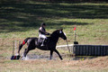 Amy Kryder on Rhianna, Beginner Novice Horse Trials Senior C