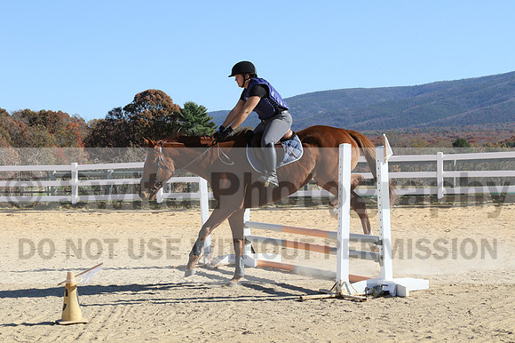 Austin Mikolin on Royal Intrigue, Advanced Green Horse Trials Senior B