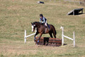 Wyatt Wilkerson on Troublemaker, Beginner Novice Horse Trials Junior A