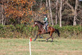 Wendy Zolinski on Civil Assets, Training Horse Trials