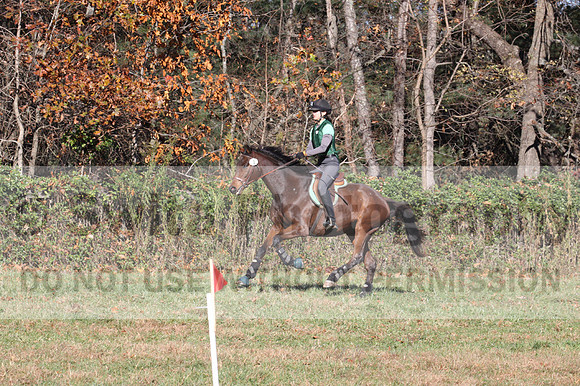 Wendy Zolinski on Civil Assets, Training Horse Trials