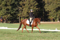 Jenny Rosner on Abbey Moon, Training Horse Trials