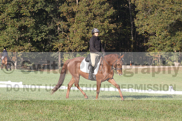 Jenny Rosner on Abbey Moon, Training Horse Trials