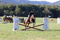 Kathleen Pimblett on Royal Grace, Green Horse Trials