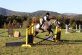 Elizabeth Brown on BallyGrace Encore, Green Horse Trials