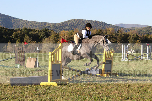 Elizabeth Brown on BallyGrace Encore, Green Horse Trials