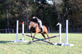 Kathleen Pimblett on Royal Grace, Green Horse Trials
