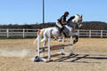 Tori Nuckols on Grey Dragon, Beginner Novice Horse Trials Senior A