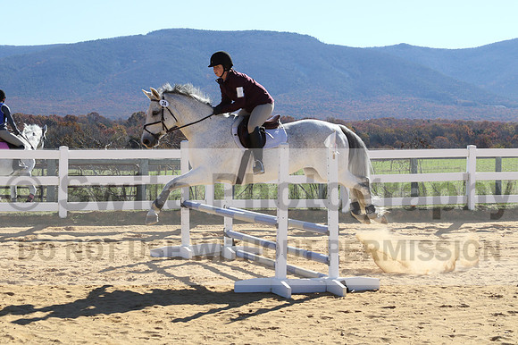 Shannon Bower on Bastille, Beginner Novice Combined Test