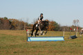 Dorothy Lower on The Wizard Of Oz, Advanced Green Horse Trials Junior A