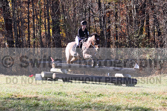 Alex Holliday on Partly Cloudy, Novice Horse Trials Junior