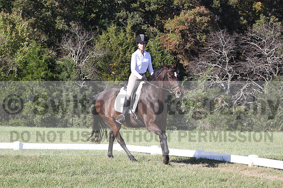 Nancy Grey on Bit Of Irish, Advanced Green Horse Trials B