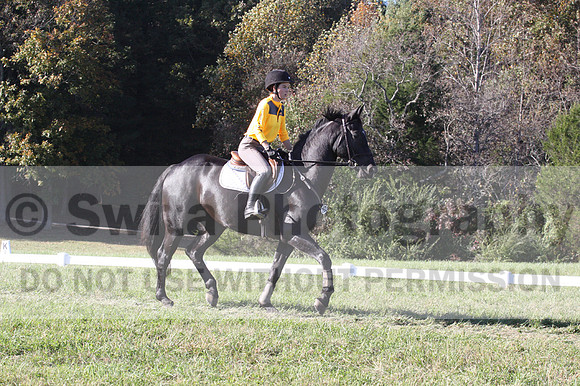 Madlen Lesesne on SBF Figaro, Advanced Green Horse Trials B