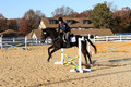 Trina Gomez on Anubis, Green Horse Trials Senior