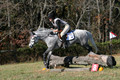 Josie Howard on Shenandoah Sea Lily, Beginner Novice Horse Trials Senior B