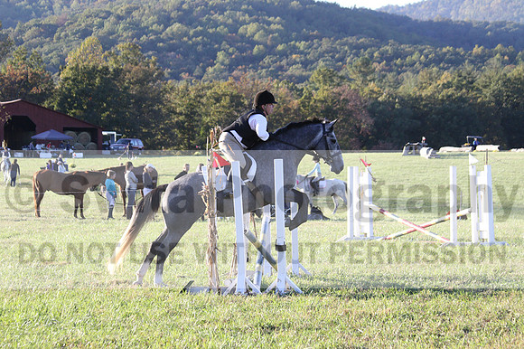 Elizabeth Brown on BallyGrace Encore, Green Horse Trials
