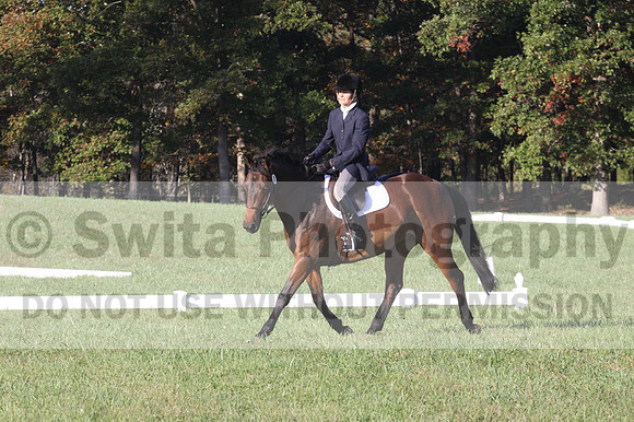Kip Holloway on Dora Cymbeline, Novice Horse Trials Senior A