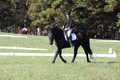 Melissa Kenny on F.O. Calculated Risk, Novice Horse Trials Senior B
