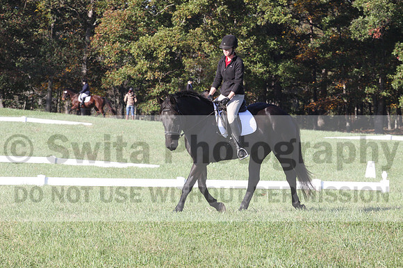 Melissa Kenny on F.O. Calculated Risk, Novice Horse Trials Senior B