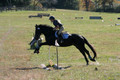 Leah Childers on Priscilla, Beginner Novice Horse Trials Junior B
