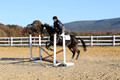 Trina Gomez on Anubis, Green Horse Trials Senior