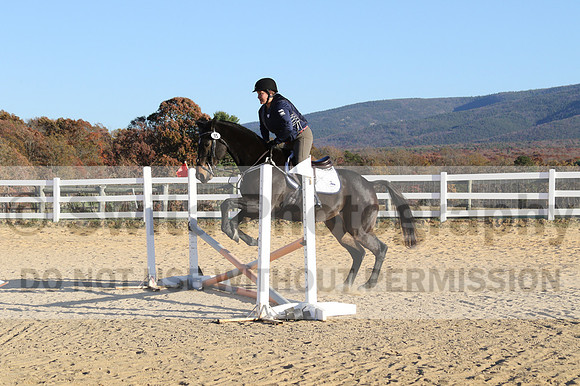 Trina Gomez on Anubis, Green Horse Trials Senior