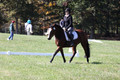 Elaine Groves on Luidonna, Beginner Novice Horse Trials Senior B